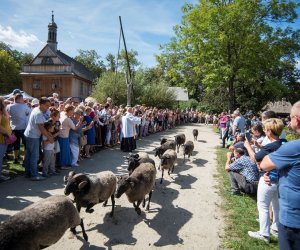 XVIII Podlaskie Święto Chleba - fotorelacja