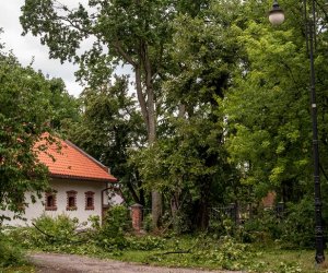 Nawałnica w Ciechanowcu