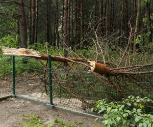 Nawałnica w ciechanowieckim muzeum