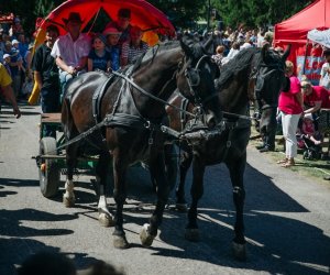 XV Podlaskie Święta Chleba w Muzeum Rolnictwa im. ks. Krzysztofa Kluka w Ciechanowcu