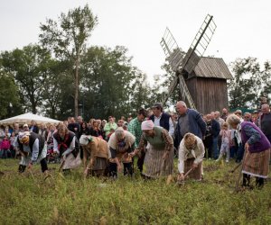 Impreza plenerowa - Jesień w Polu i Zagrodzie