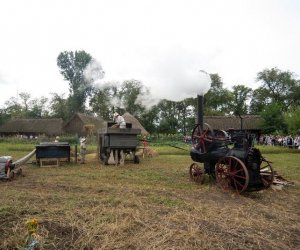 XVII Podlaskie Święto Chleba - fotorelacja