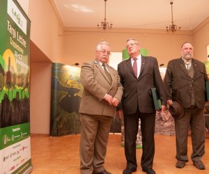 Jarmark Św. Wojciecha i Festyn Leśny 2014