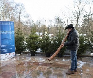 LIGAWKI 2016 - Fotorelacja z konkursu