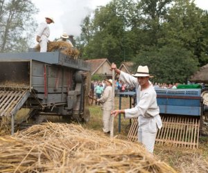 XVII Podlaskie Święto Chleba - fotorelacja