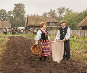 Wykopki w Skansenie 2013