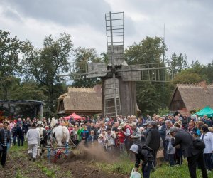 Jesień w Polu i Zagrodzie 2018 - fotorelacja