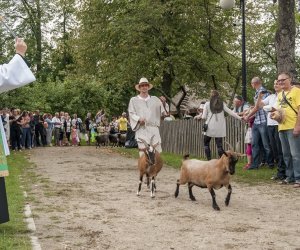 XVI Podlaskie Święto Chleba