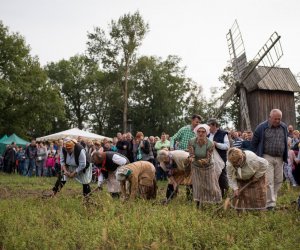 Impreza plenerowa - Jesień w Polu i Zagrodzie