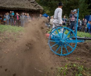 Jesień w Polu i Zagrodzie 2018 - fotorelacja