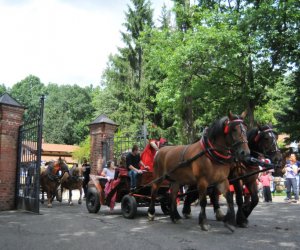 VIII Zajazd Wysokomazowiecki, 15.07.2012.