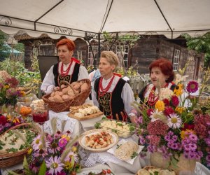 Jesień w polu i zagrodzie - fotorelacja