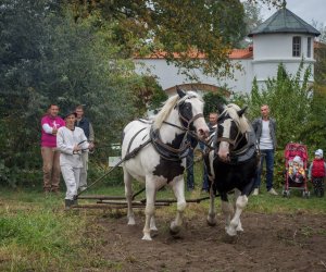 Jesień w Polu i Zagrodzie 2018 - fotorelacja