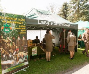 Jarmark Św. Wojciecha i Festyn Leśny 2014