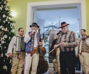 Ligawki 2018
