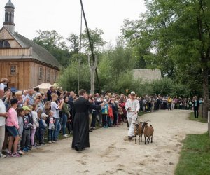 XVII Podlaskie Święto Chleba - fotorelacja