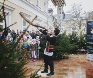 Ligawki 2018