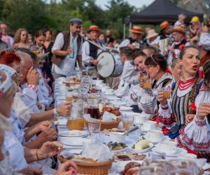 XXII Podlaskie Święto Chleba - fotorelacja