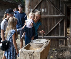 Jesień w polu i zagrodzie - fotorelacja - 15 września 2024