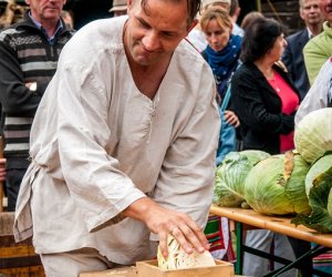 Jesień w polu i zagrodzie