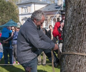 Jarmark św. Wojciecha - fotorelacja