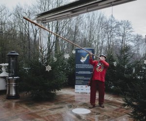 Ligawki 2018