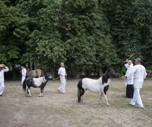 XXIII Podlaskie Święto Chleba - fotorelacja