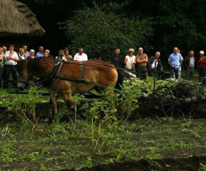 Wykopki w skansenie 2009