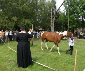 VII PODLASKIE ŚWIĘTO CHLEBA