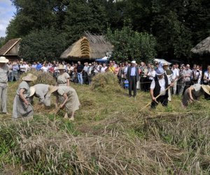 XII Podlaskie Święto Chleba, 12.08.2012 r.