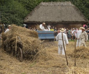 XXIII Podlaskie Święto Chleba - fotorelacja