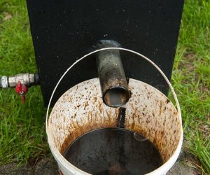 Jarmark św. Wojciecha i Święto Lasu