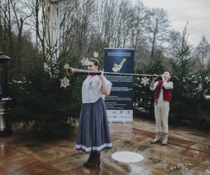 Ligawki 2018