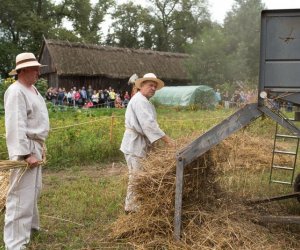 XVII Podlaskie Święto Chleba - fotorelacja