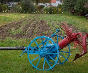 Jesień w Polu i Zagrodzie 2018 - fotorelacja