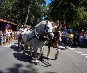 XVIII Podlaskie Święto Chleba - fotorelacja