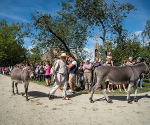 XVIII Podlaskie Święto Chleba - fotorelacja