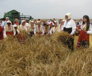 "Żniwa po bułgarsku"