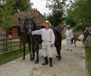 XVII Podlaskie Święto Chleba - fotorelacja