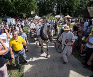 XVIII Podlaskie Święto Chleba - fotorelacja