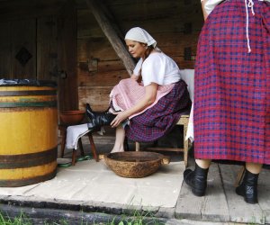 Wykopki w skansenie podsumowanie, fotorelacja.