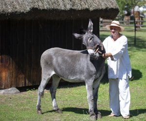 XXII Podlaskie Święto Chleba - fotorelacja