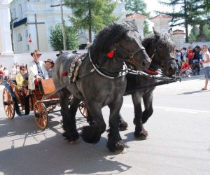 IX Podlaskie Święto Chleba