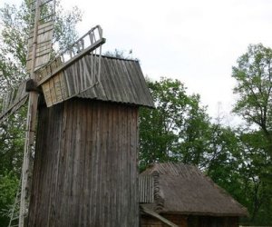 Początek wiosny w Muzeum Rolnictwa im. ks. K. Kluka w Ciechanowcu to czas dla zwierząt.