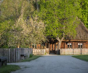 Majówka w Muzeum