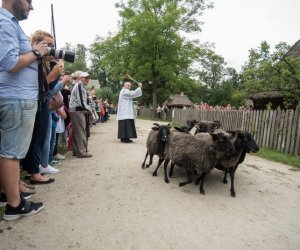 XVII Podlaskie Święto Chleba - fotorelacja