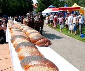 X PODLASKIE ŚWIĘTO CHLEBA