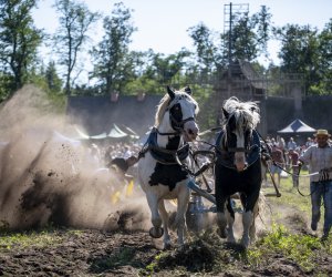 "Z kulturą ludową przez Podlasie" - fotorelacja