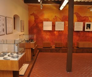 Odnowiona ekspozycja Muzeum Weterynarii