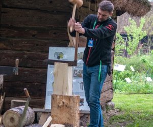 Jarmark św. Wojciecha i Święto Lasu